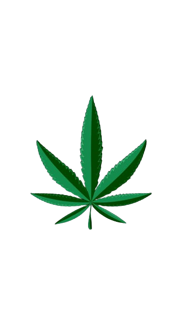 cannabis-leaf-background-removebg-preview cannabis-leaf-background-removebg-preview